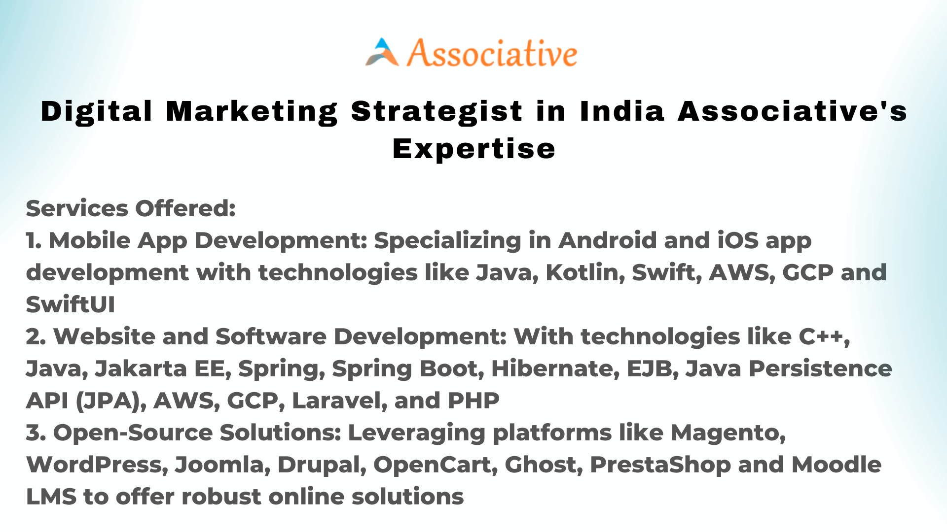 Digital Marketing Strategist in India Associative's Expertise