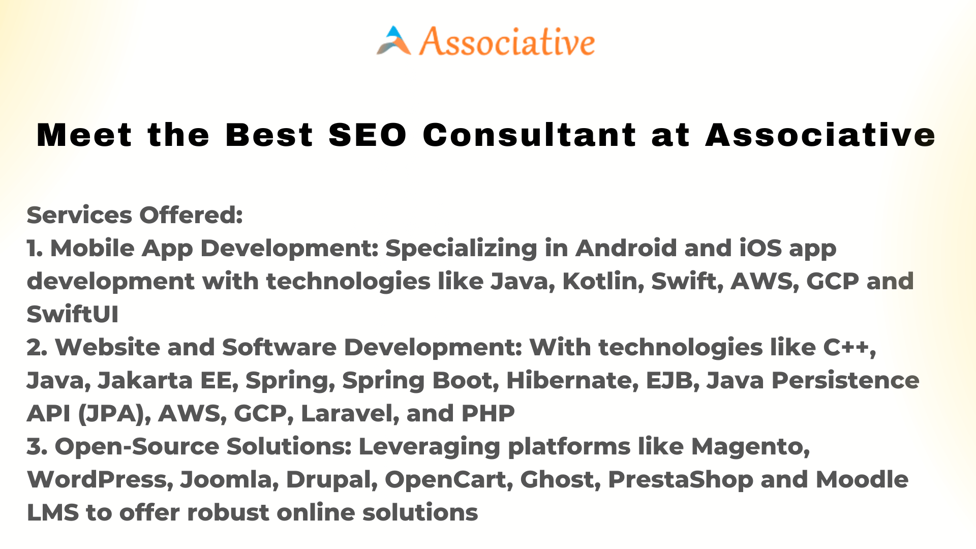 Meet the Best SEO Consultant at Associative