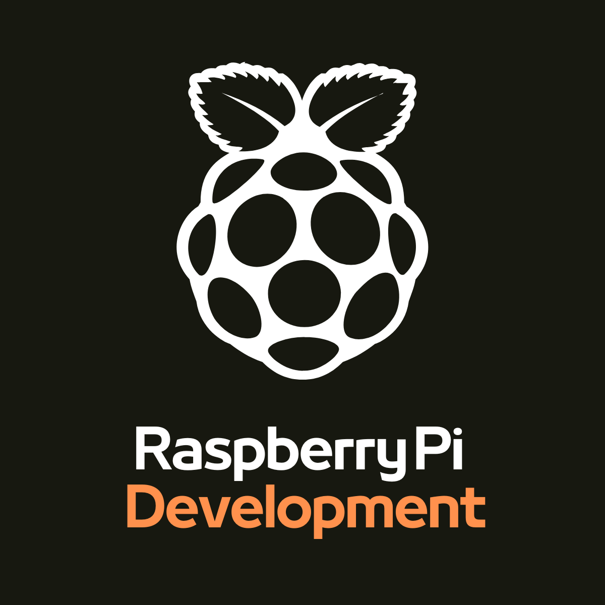 Associative: Your Premier Raspberry Pi Development Company in Pune, India