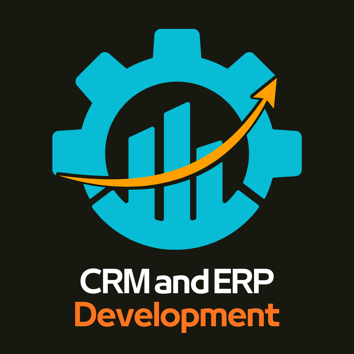 Custom CRM and ERP Development Services