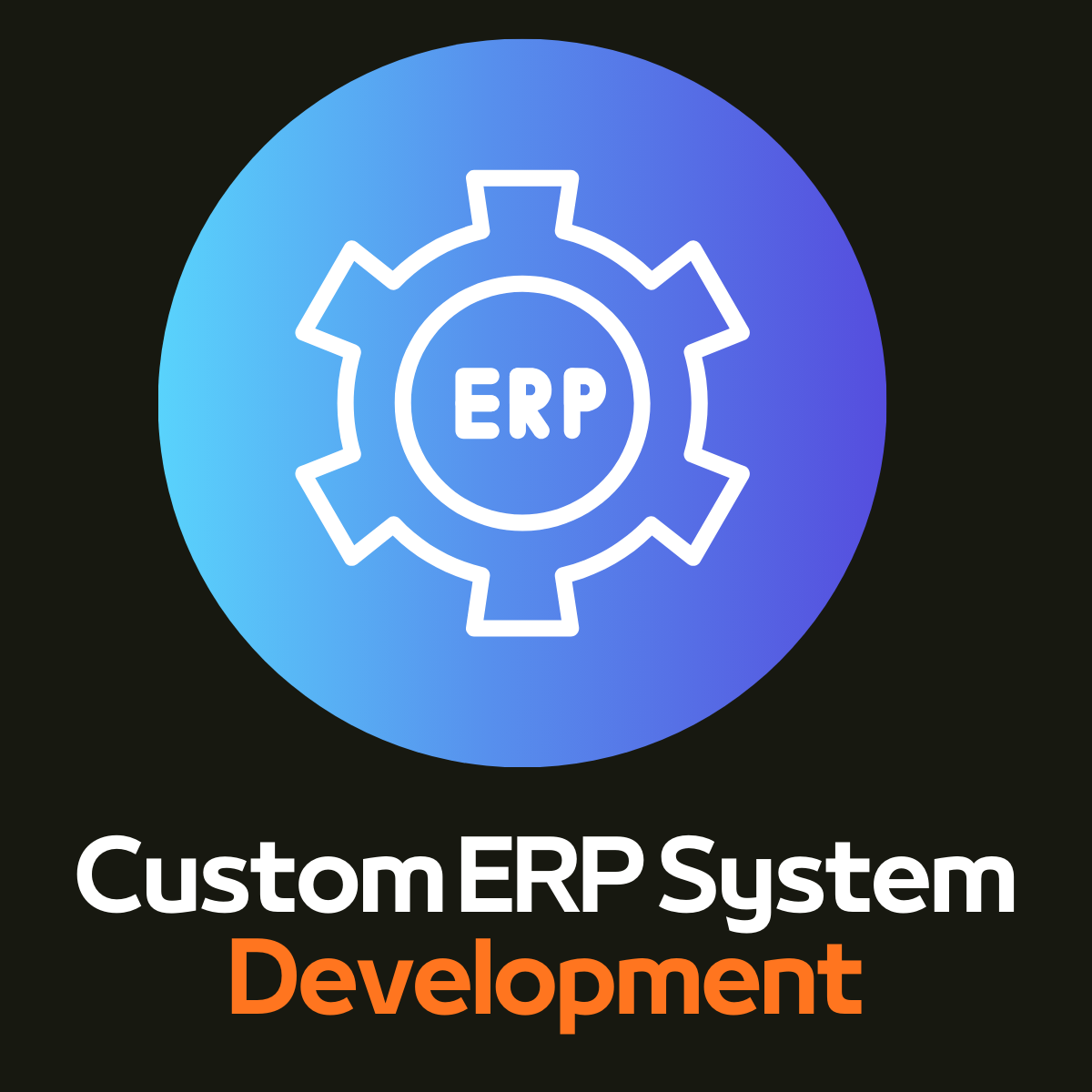 Custom ERP System Development Company & Digital Innovation Partner