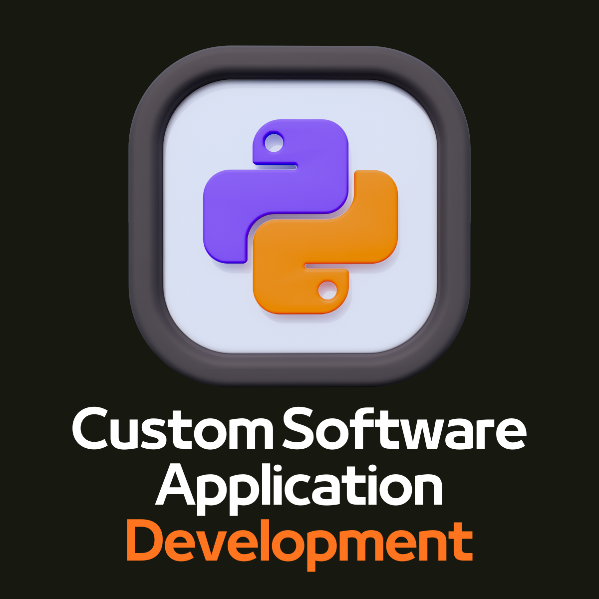 Custom Software Application Development Services | Associative