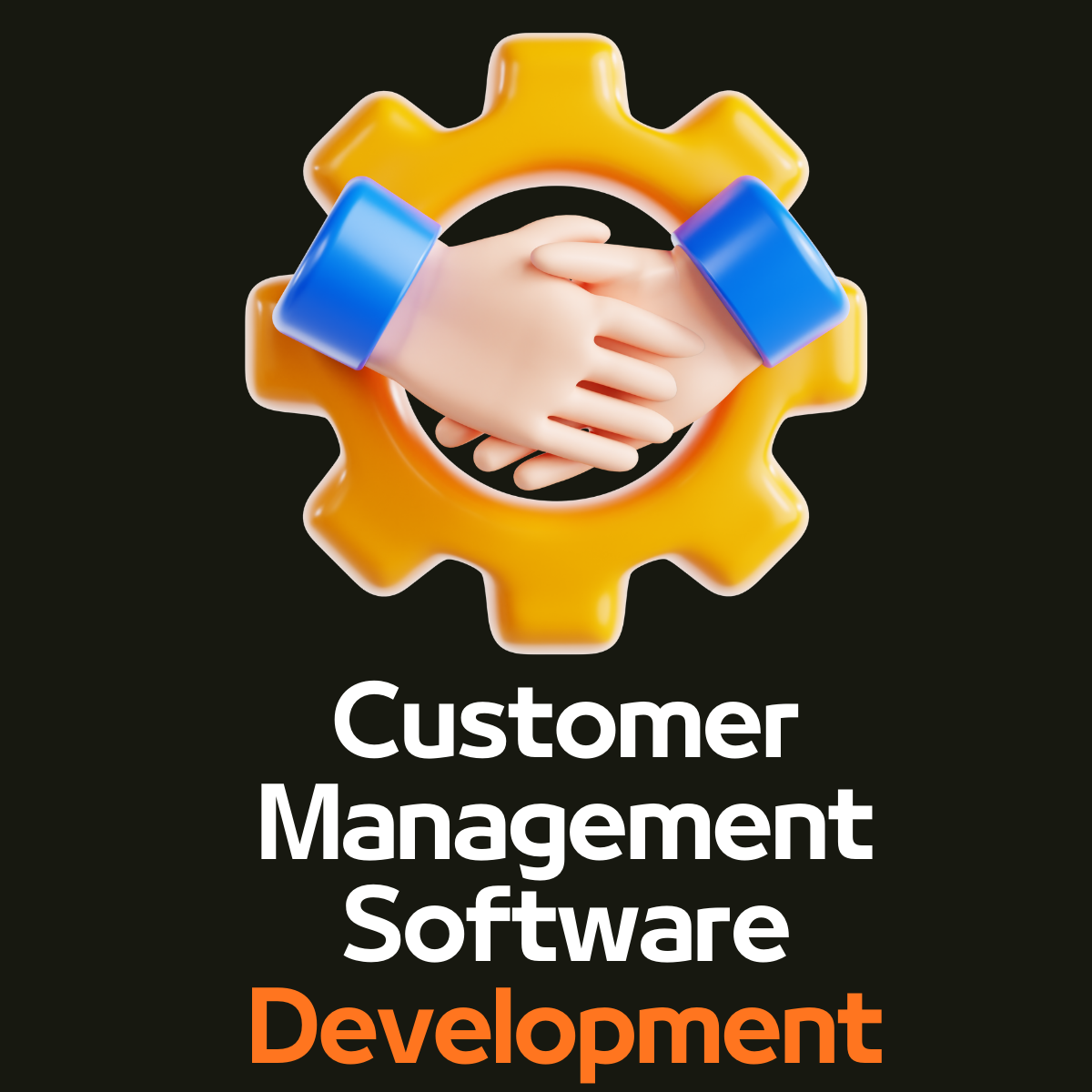 Custom Customer Management Software Development Services