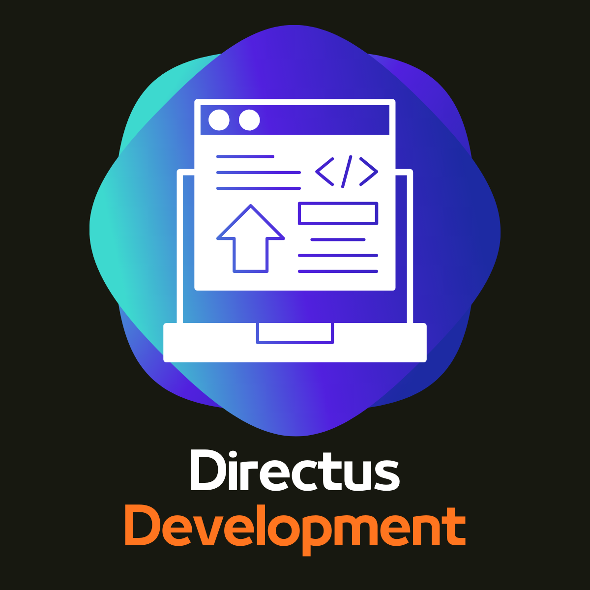 Expert Directus Development Services by Associative
