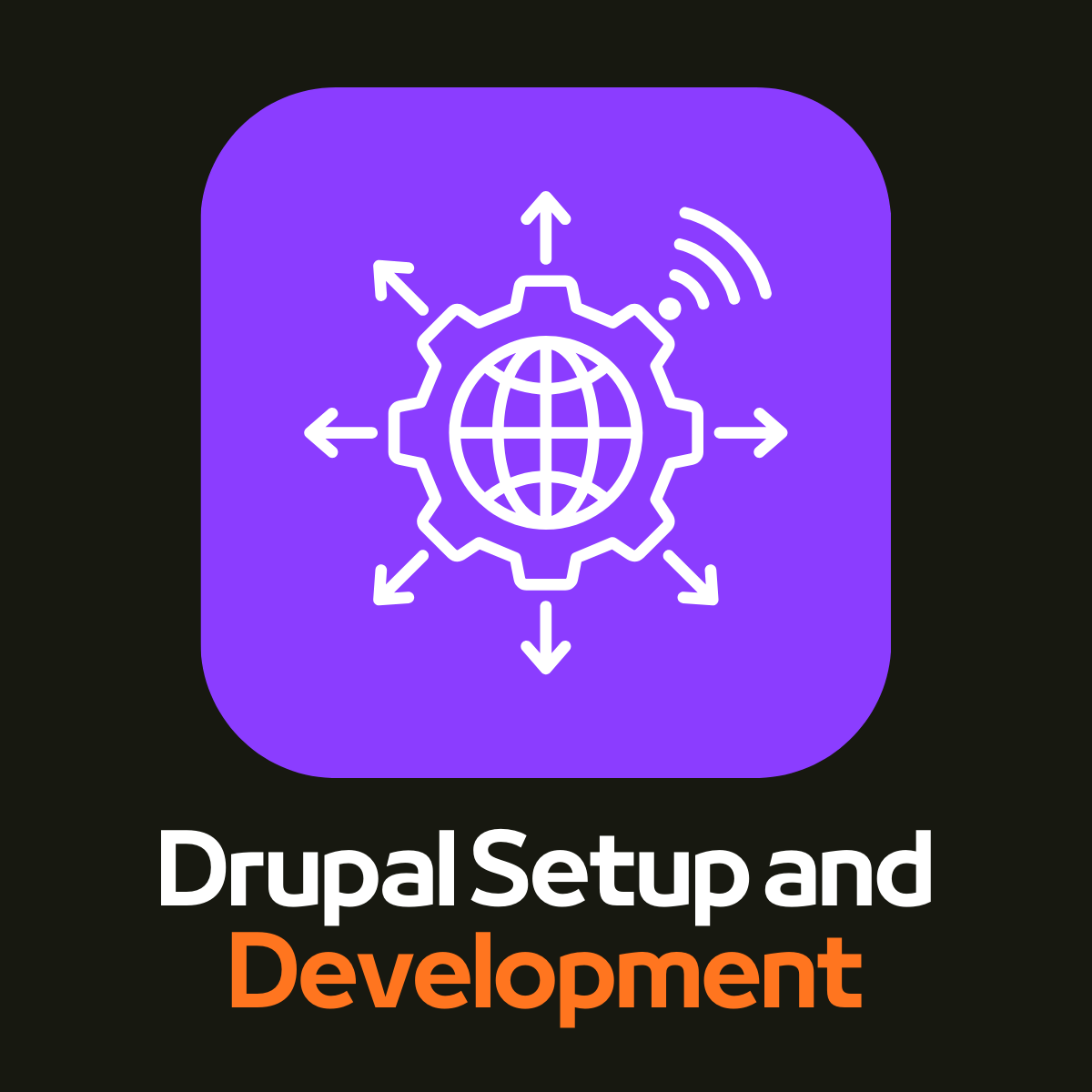 Expert Drupal Setup and Deployment Services by Associative