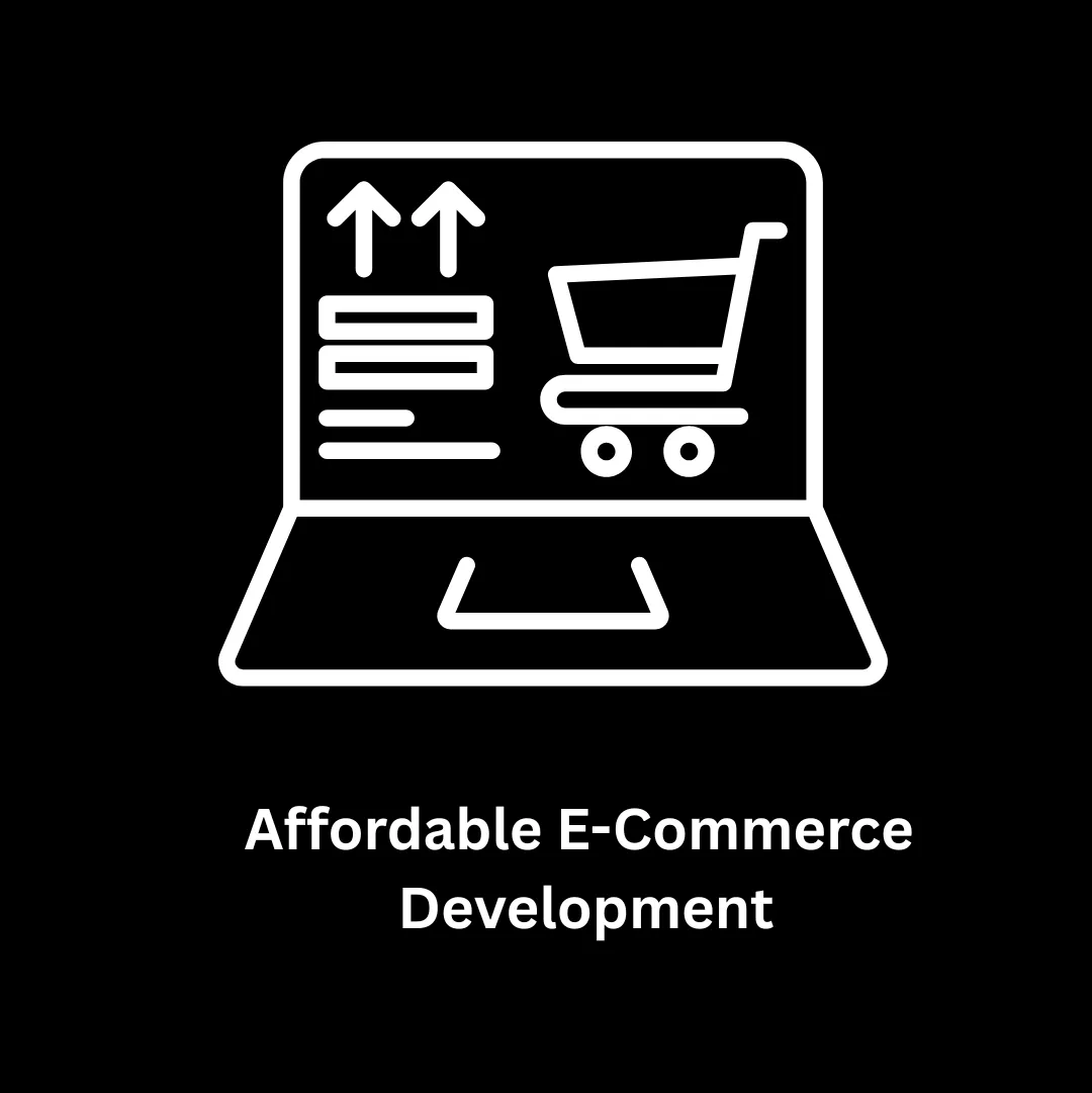 Affordable E-Commerce Development Solutions