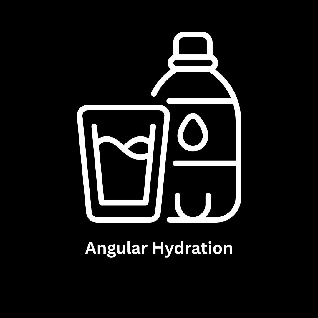 Angular Hydration: Enhancing Web Performance