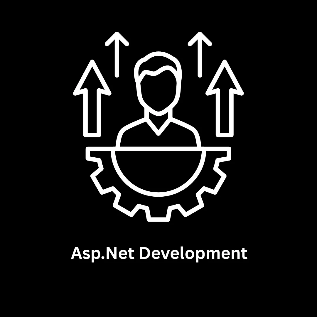 Professional ASP.NET Development Services