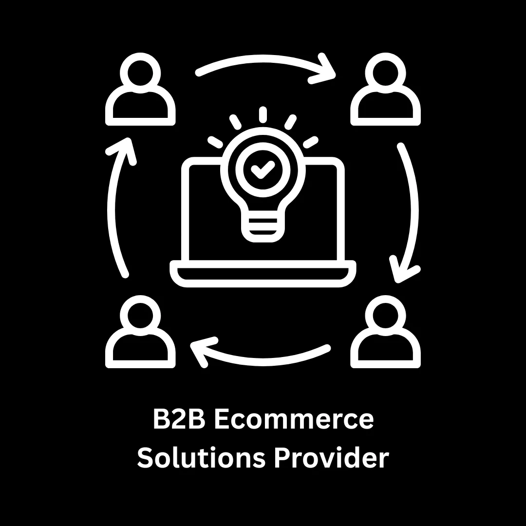 Top B2B Ecommerce Solutions Provider & Custom Software Firm