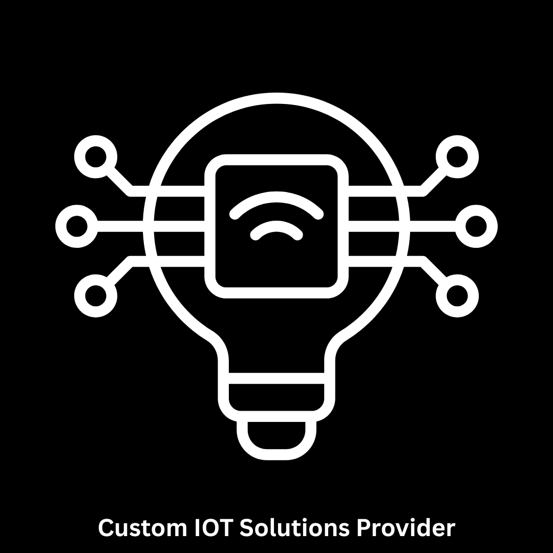 Custom IoT Solutions Provider: End-to-End Connectivity