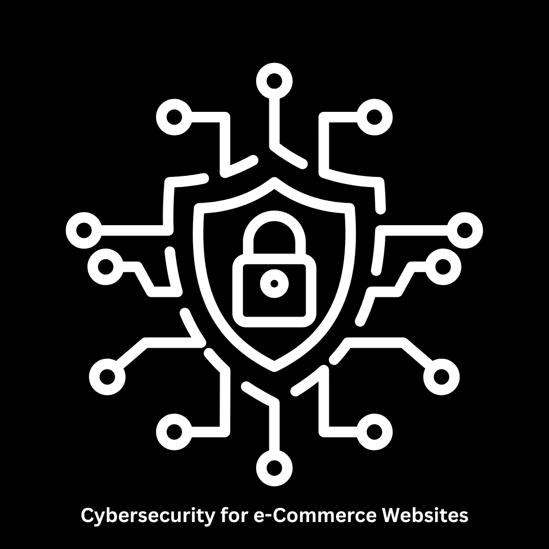 Cybersecurity for E-commerce Websites & Secure Development