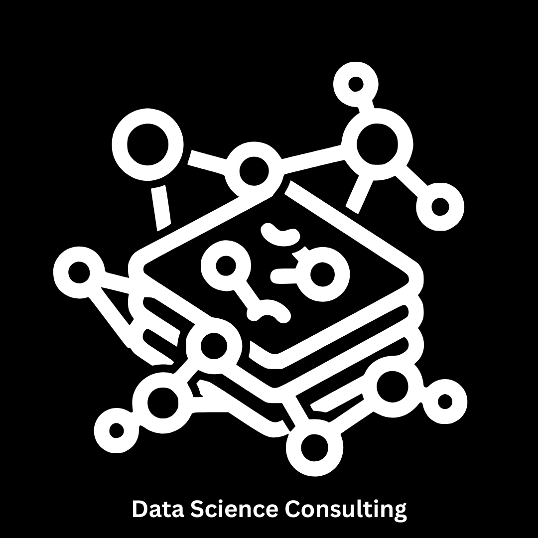 Professional Software Development & Data Science Consulting Services