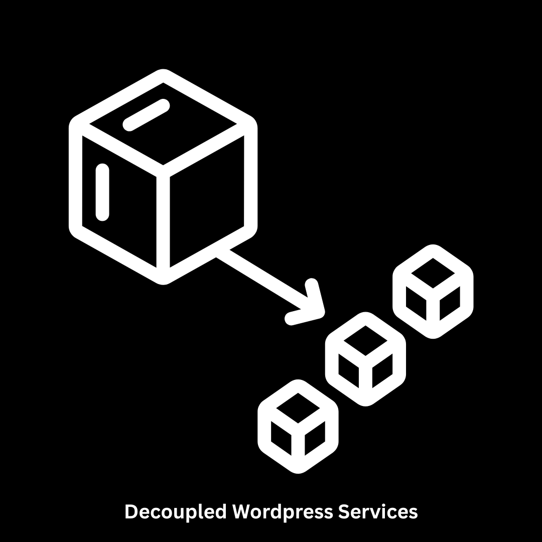 Professional IT Solutions & Decoupled WordPress Services