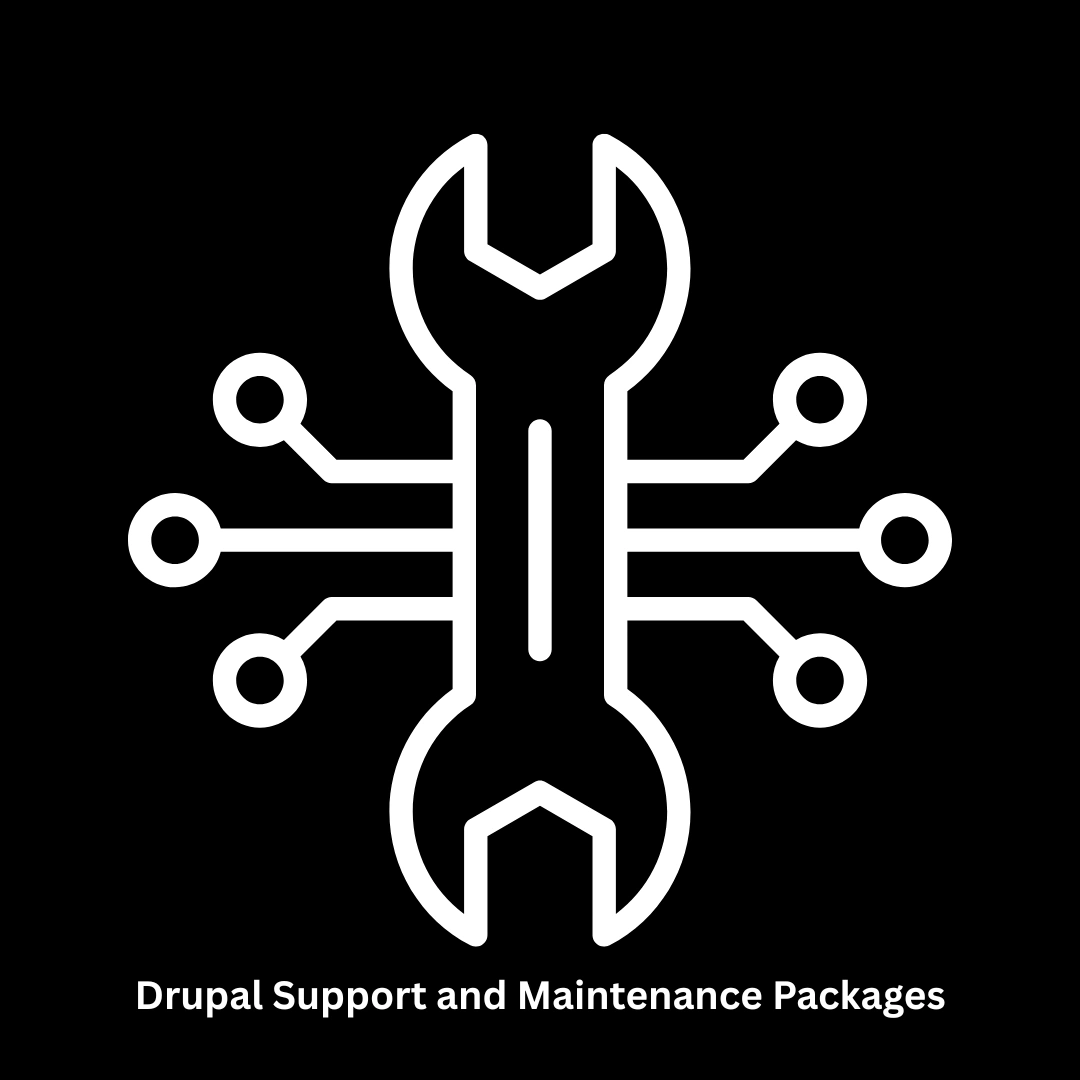 Professional Drupal Support and Maintenance Packages