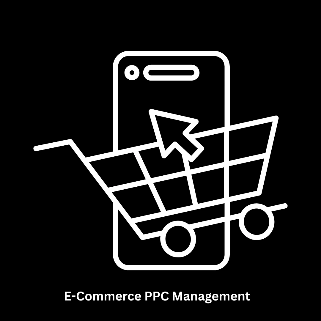 Expert E-commerce PPC Management Services