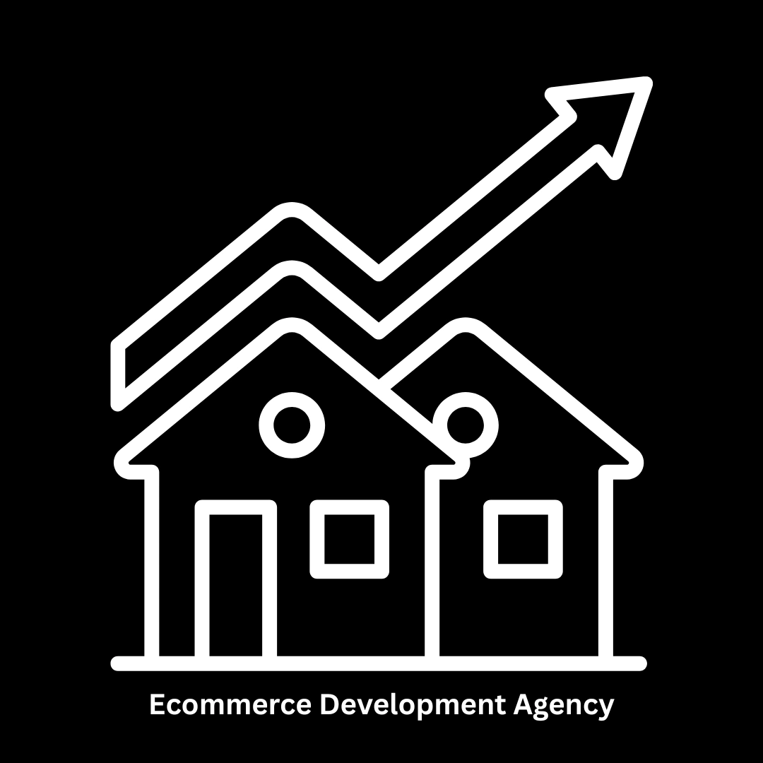 Premier Ecommerce Development Agency