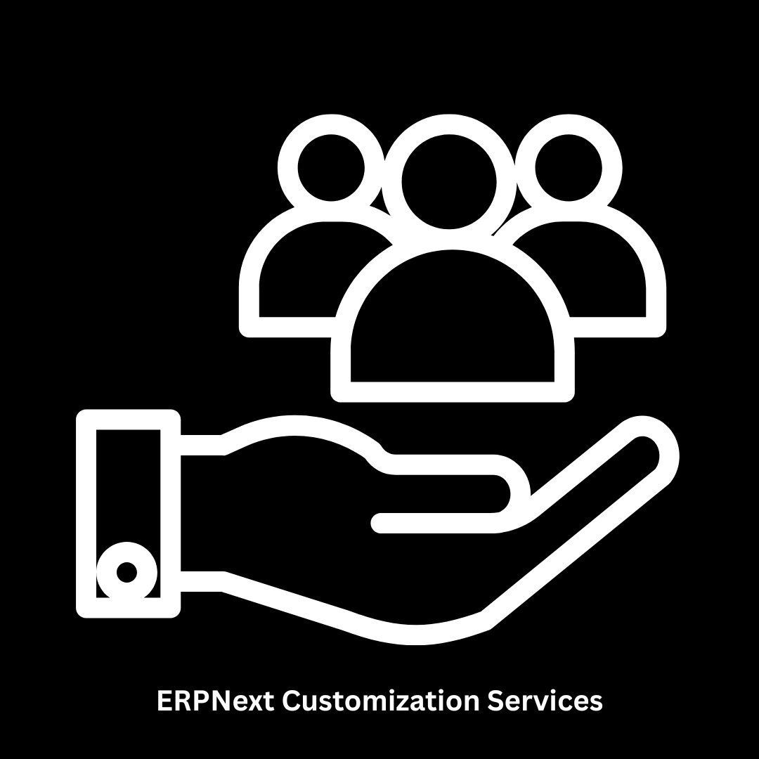 Expert ERPNext Customization Services
