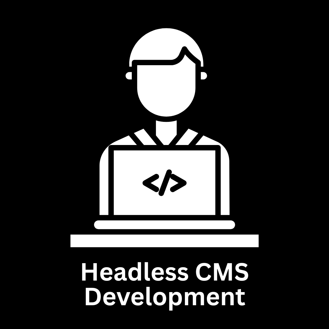 Professional Headless CMS Development Services
