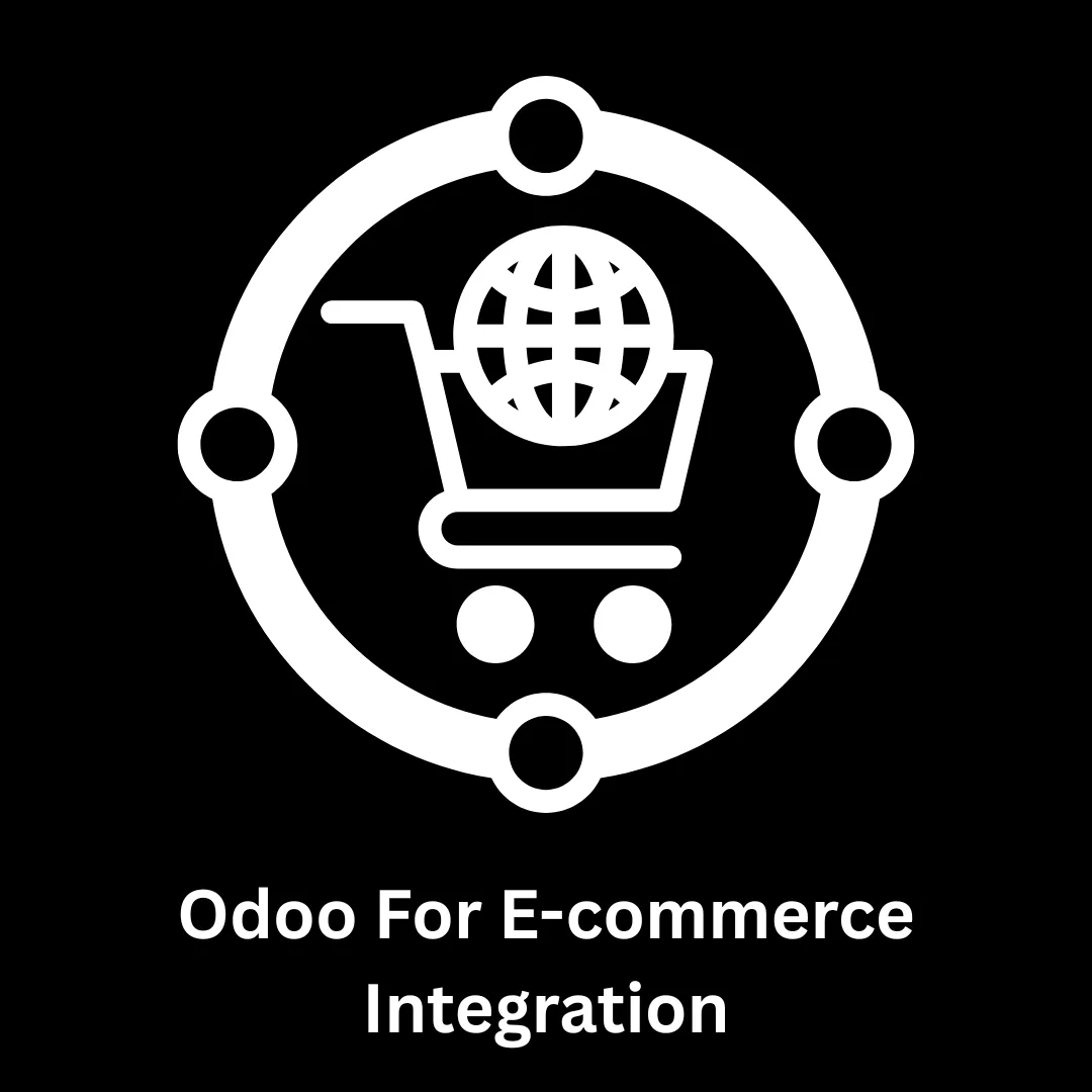 Professional Odoo for E-commerce Integration