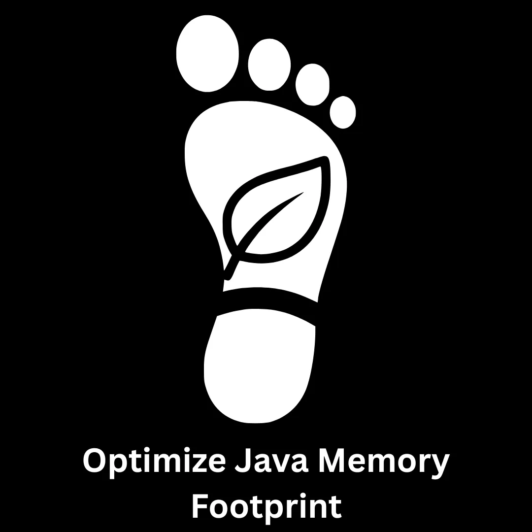 Expert Services to Optimize Java Memory Footprint