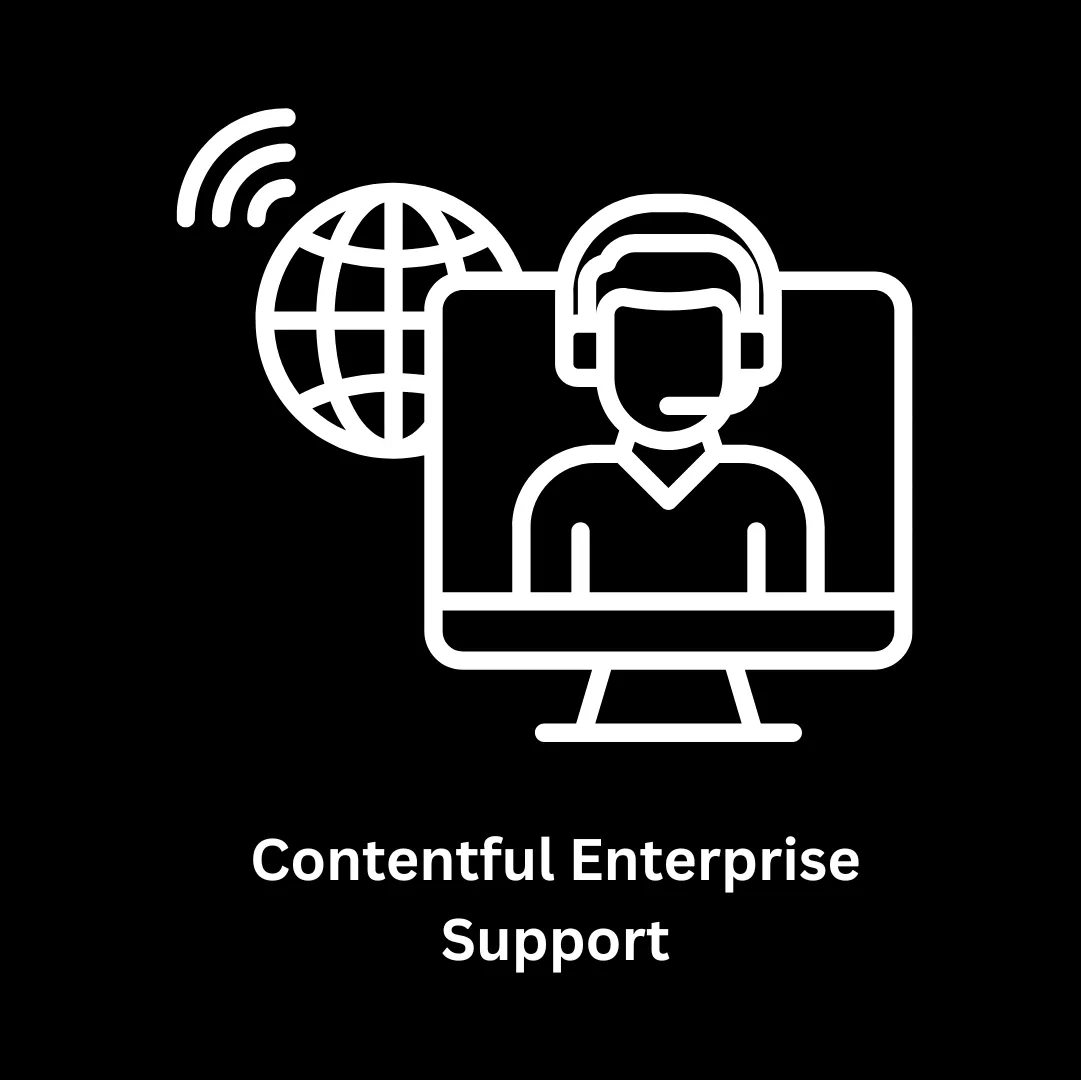 Expert Contentful Enterprise Support and Custom CMS Solutions