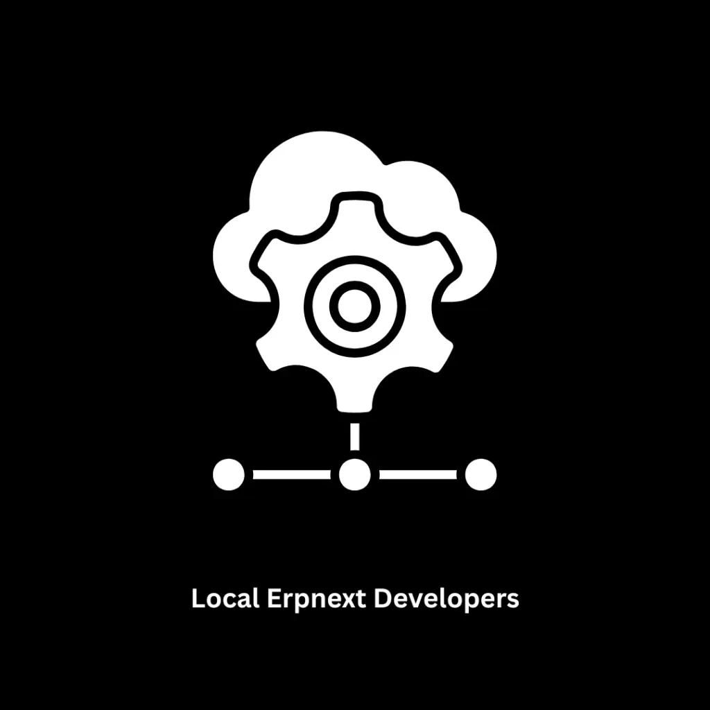 Expert Local ERPNext Developers in Pune