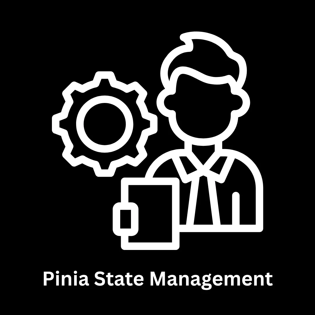 Pinia State Management Solutions |
