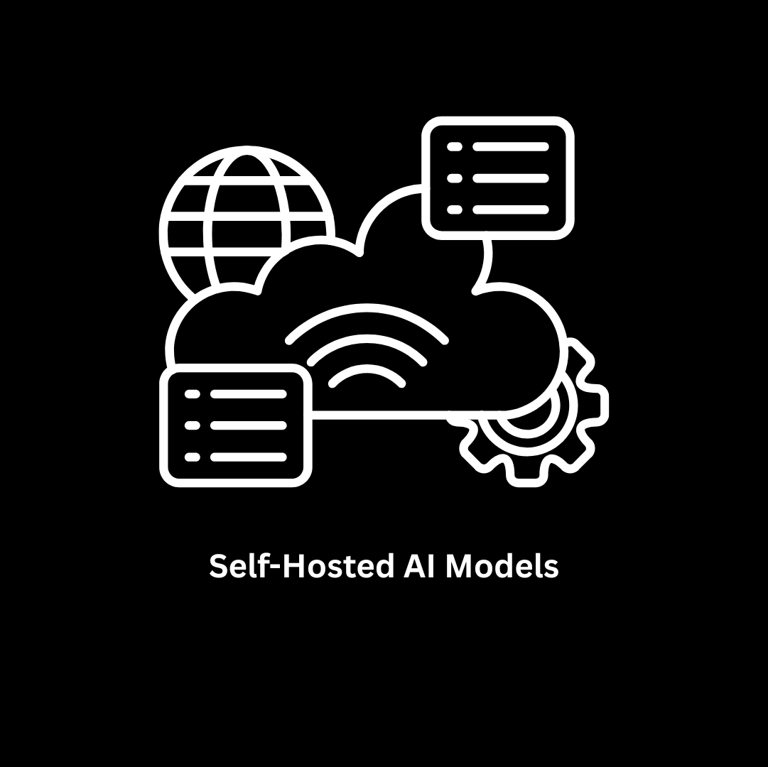 Custom & Secure Self-Hosted AI Models Development