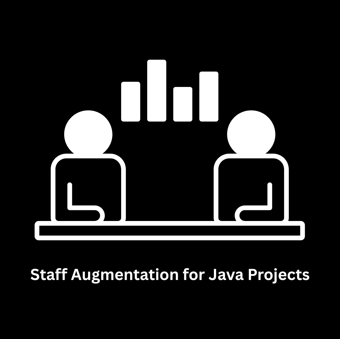 Expert Staff Augmentation for Java Projects