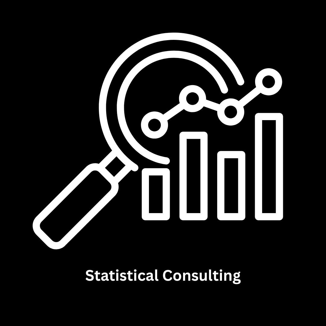 Expert Statistical Consulting and IT Solutions