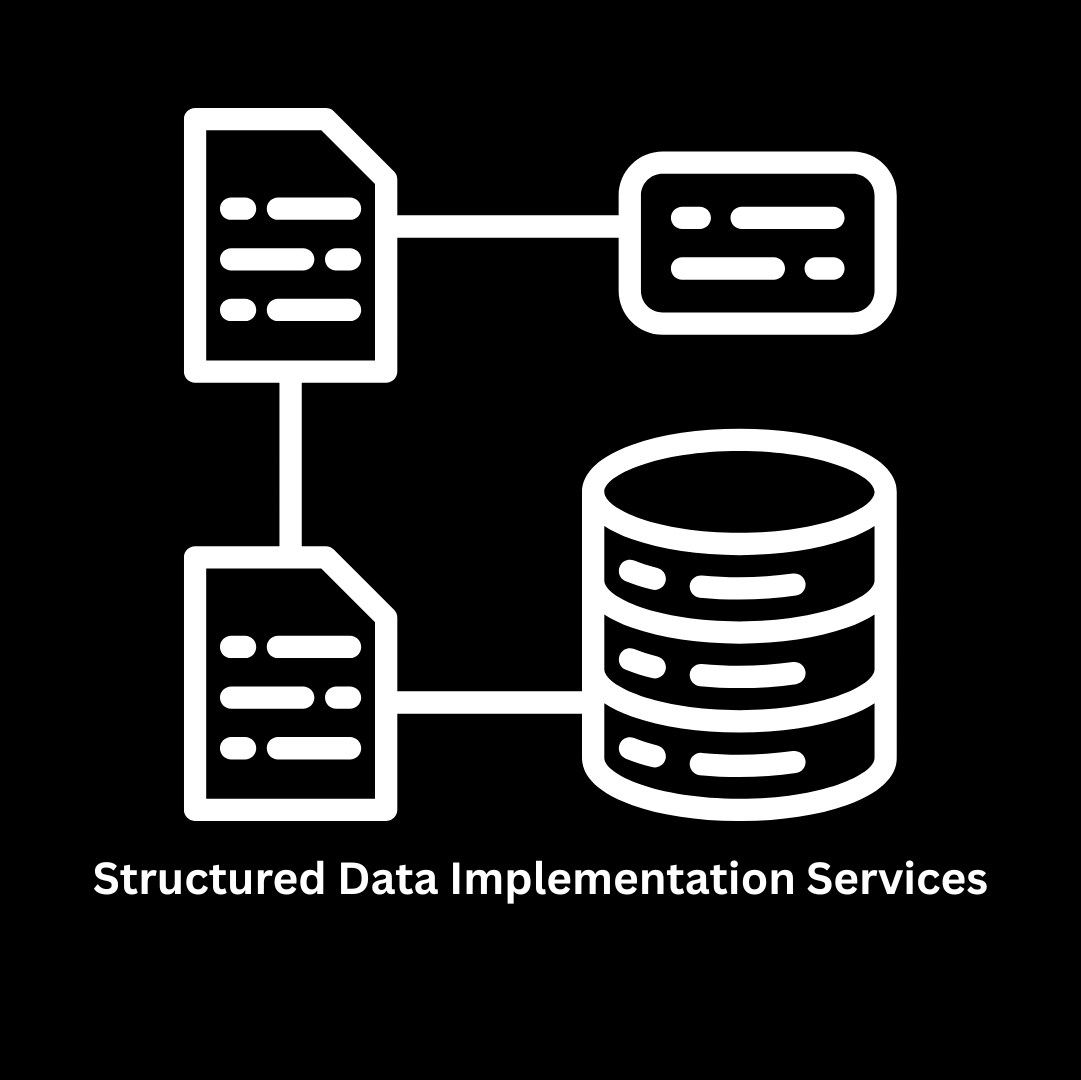 Expert Structured Data Implementation Services
