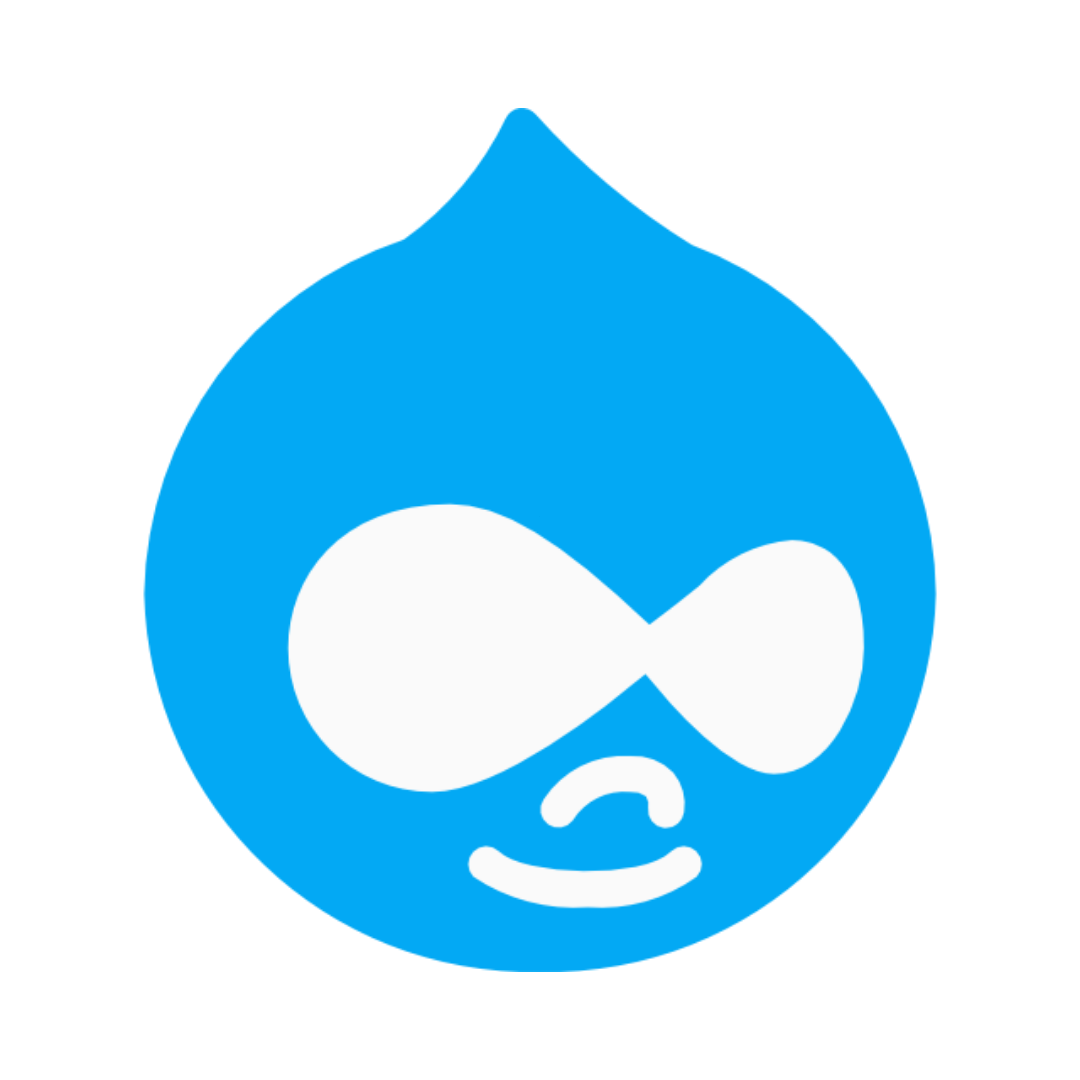 The Best Drupal Development Company 2026