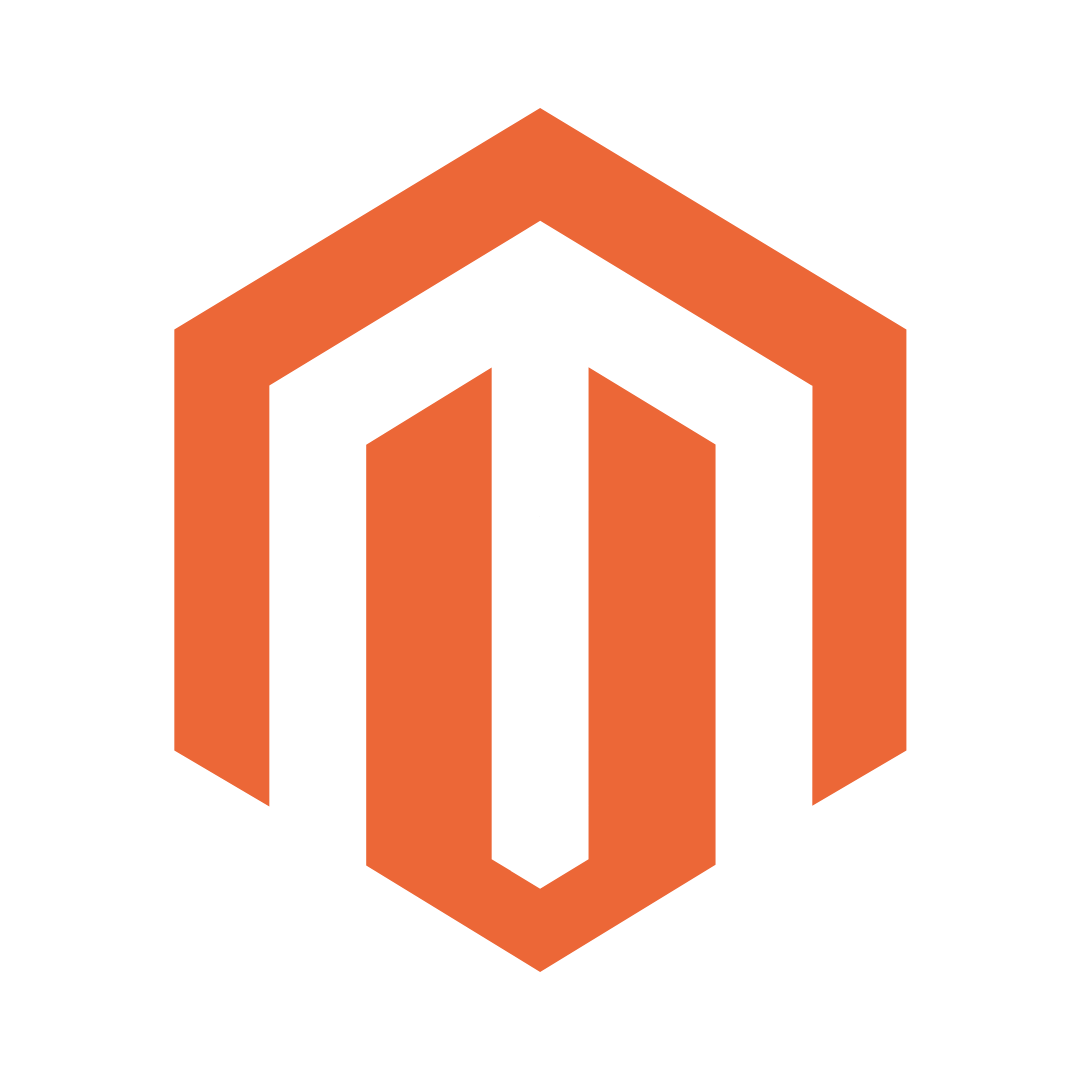 Professional Magento 2 Development Services