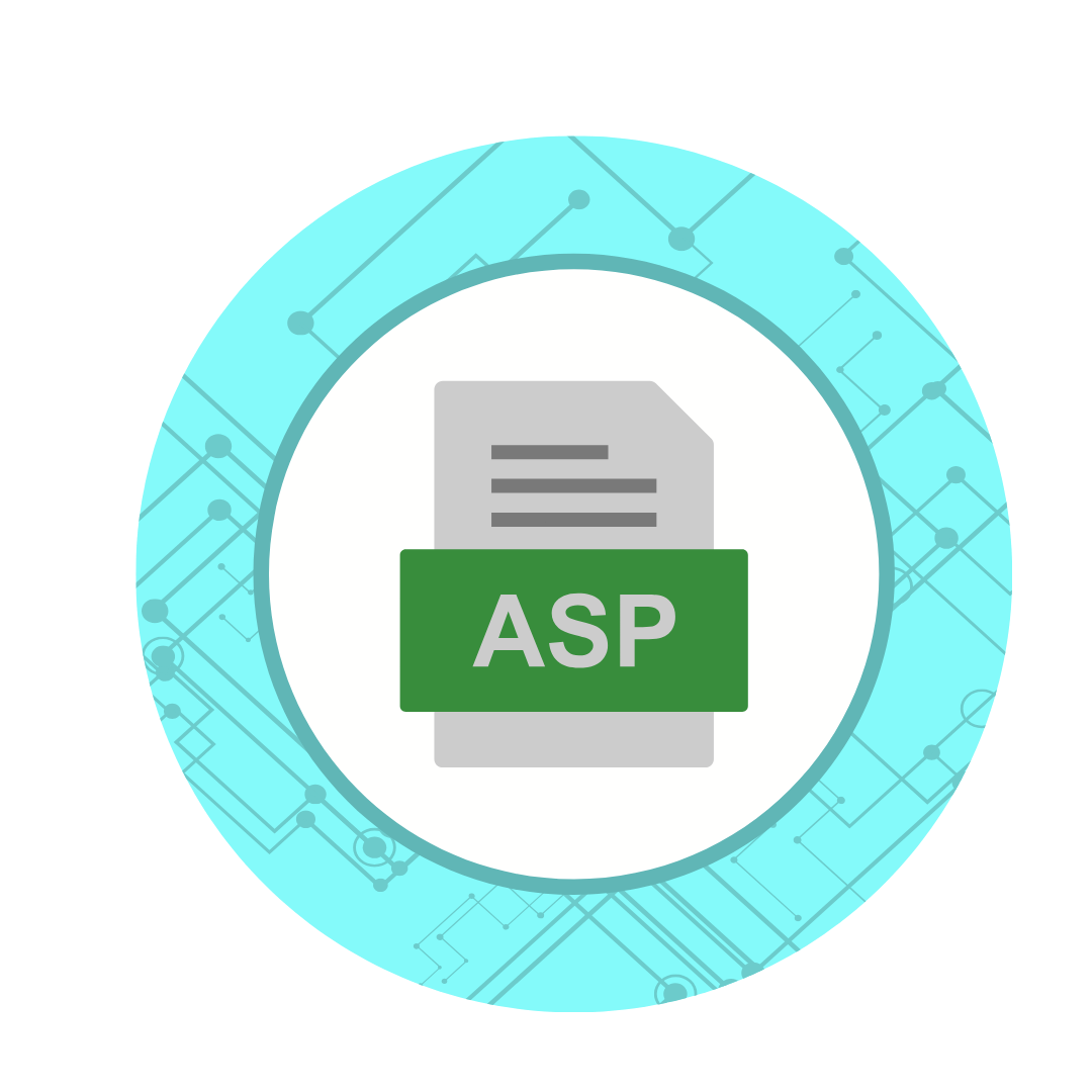 Expert ASP.NET Development Services in Pune | Associative