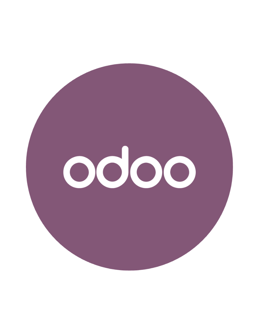 Custom Odoo Module Development Project Success | Associative Pune
