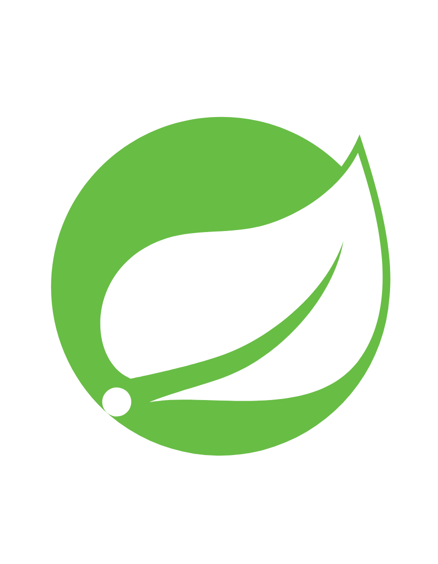 Custom Spring Boot Development Project Delivered by Associative Pune
