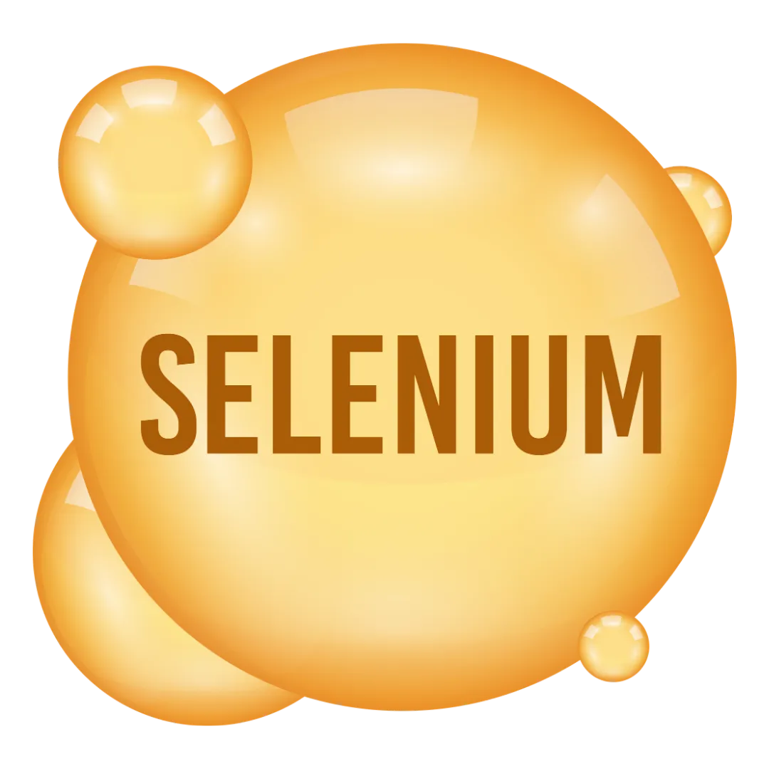 Expert White Label Selenium Automation Testing Services | Associative Pune